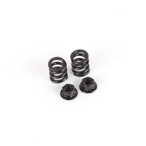 FireBolt Slipper Spring Set D-06-VBC-0122